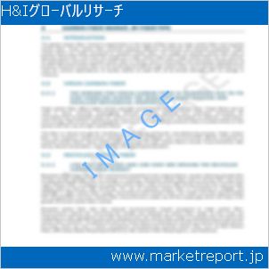 市場と産業調査レポートのイメージ